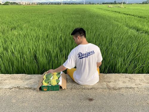 微信图片_20220307173103
